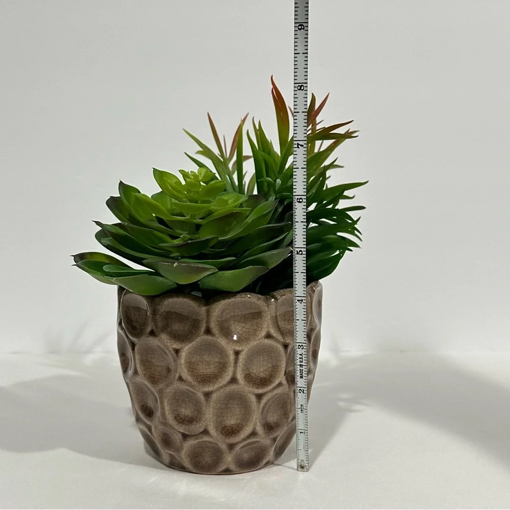 Ceramic Potted Faux Succulents Artificial Plant Decor
